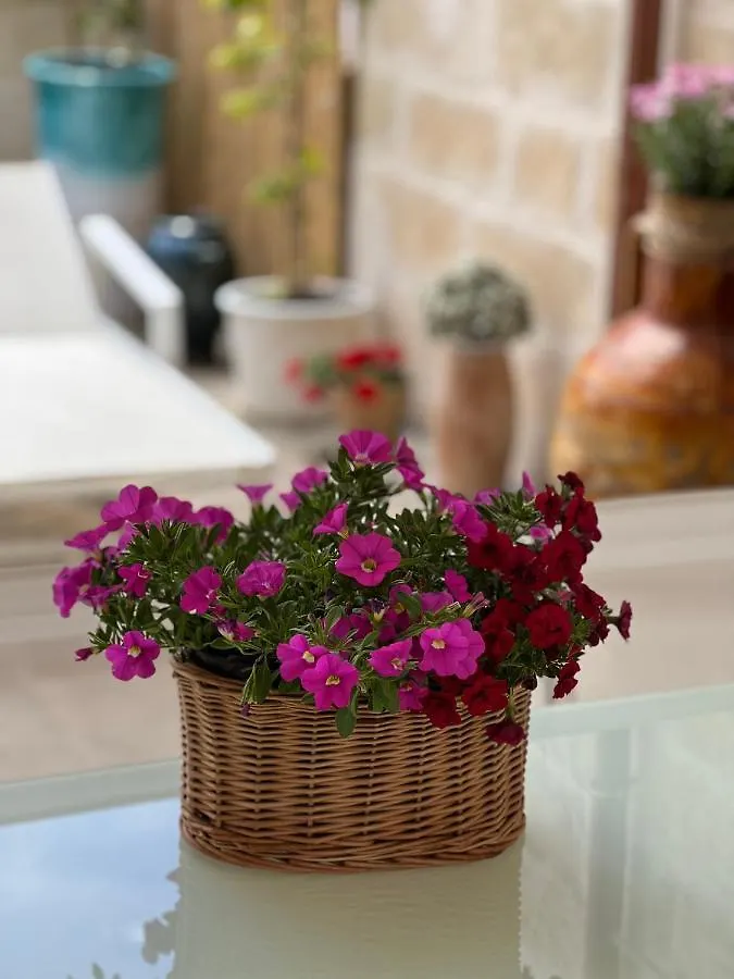 Suite Battisti 7 Lecce Maison d'hôtes